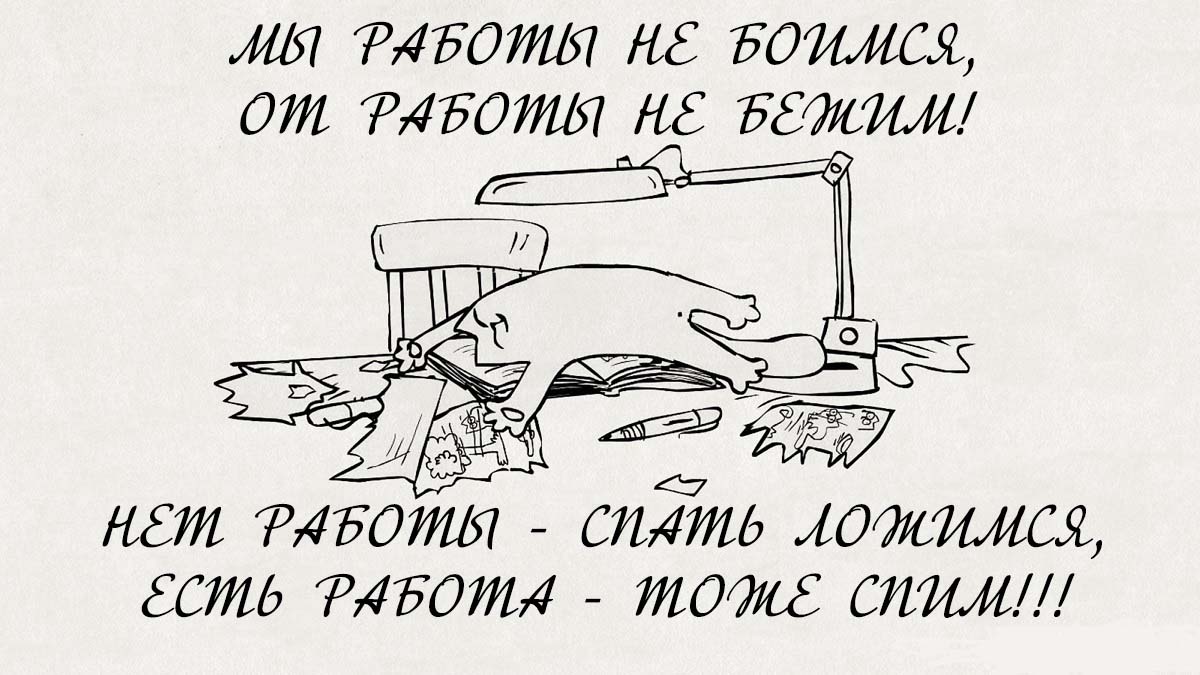 Как дальше жить без алкоголя и строить новую жизнь? Выбирайся из чащи на свет